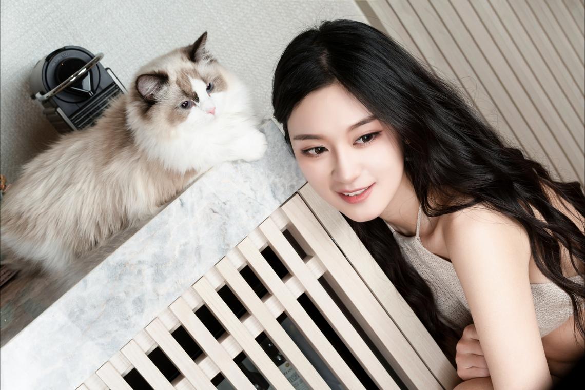 拓展合作新机遇 第八届进博会招商路演走进河北